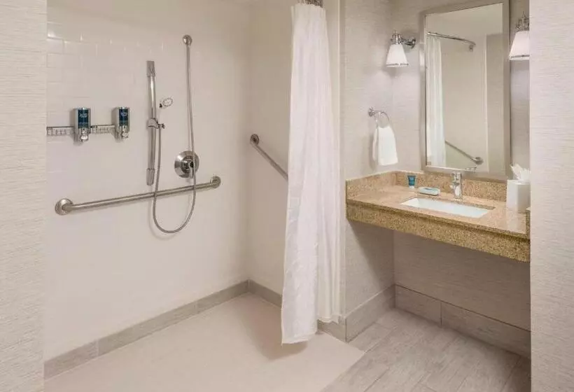 اتاق استاندارد با تخت بزرگ, Four Points By Sheraton Boston Logan Airport Revere