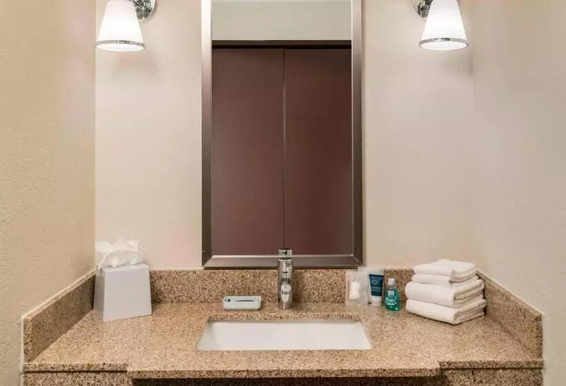 اتاق لوکس با تخت بزرگ, Four Points By Sheraton Boston Logan Airport Revere