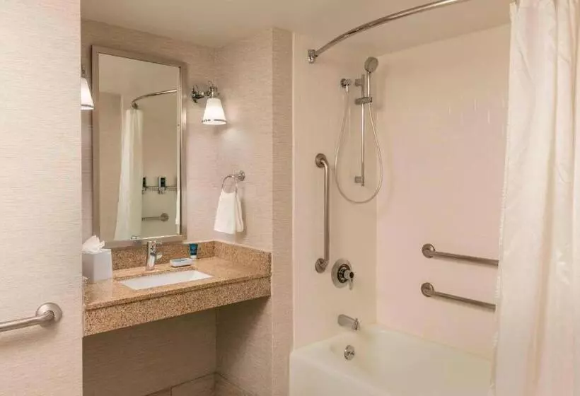 اتاق استاندارد با تخت بزرگ برای معلولان, Four Points By Sheraton Boston Logan Airport Revere