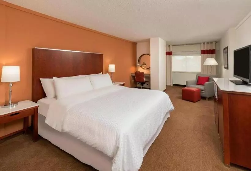 اتاق استاندارد با تخت بزرگ برای معلولان, Four Points By Sheraton Boston Logan Airport Revere