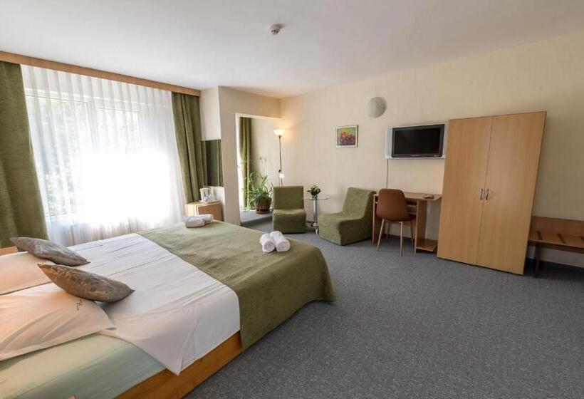 수피리어 룸, Noviz