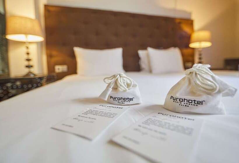 Номер Deluxe, Puro Hotel Oasis Urbano