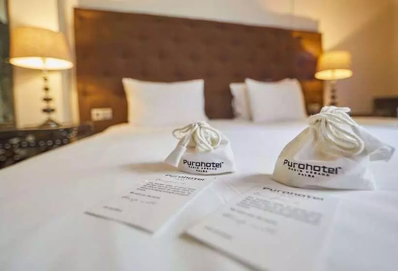 اتاق لوکس, Puro Hotel Oasis Urbano