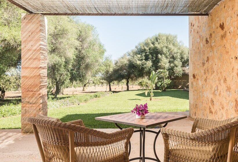 סוויטת ג'וניור, Rural Son Mas  4