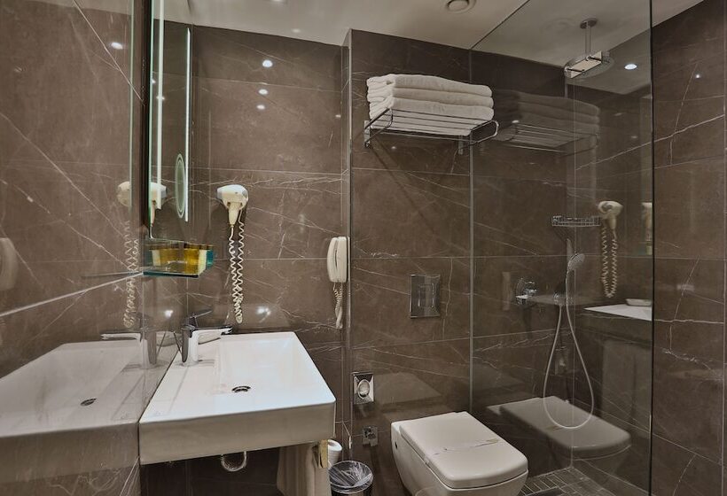 اتاق استاندارد, Zurich Istanbul Old City