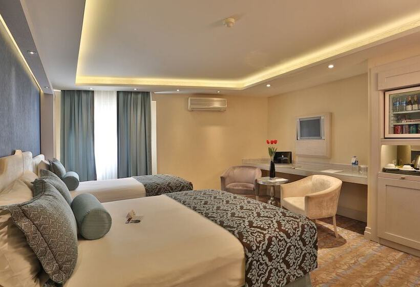 اتاق استاندارد, Zurich Istanbul Old City