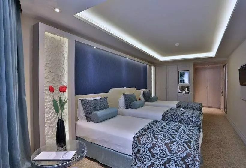 اتاق استاندارد سه نفره, Zurich Istanbul Old City