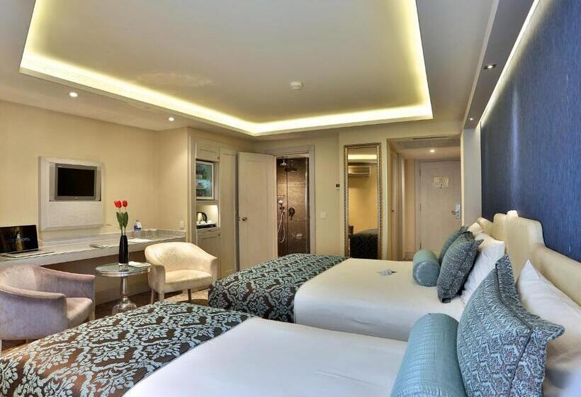 اتاق استاندارد سه نفره, Zurich Istanbul Old City