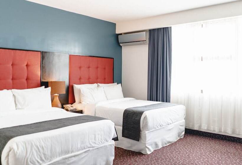 小型套房, Kc Hotel San Jose