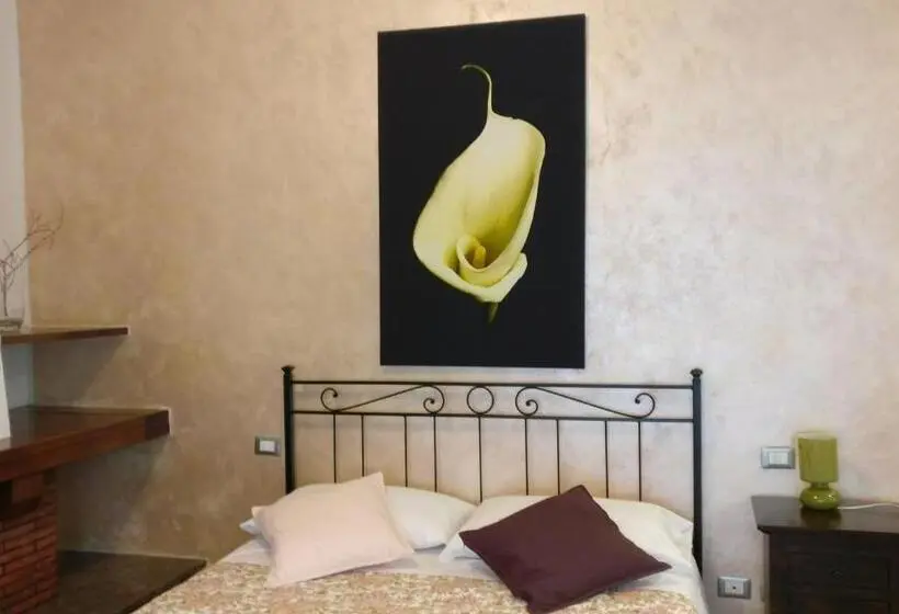スタンダード４人部屋, Casamare