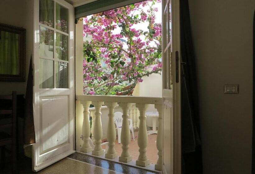 四人标准间, Casamare