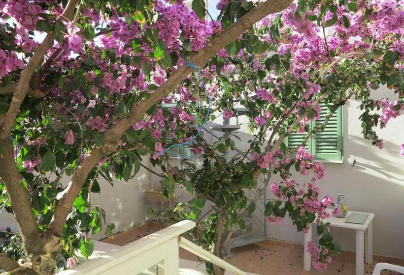 四人标准间, Casamare