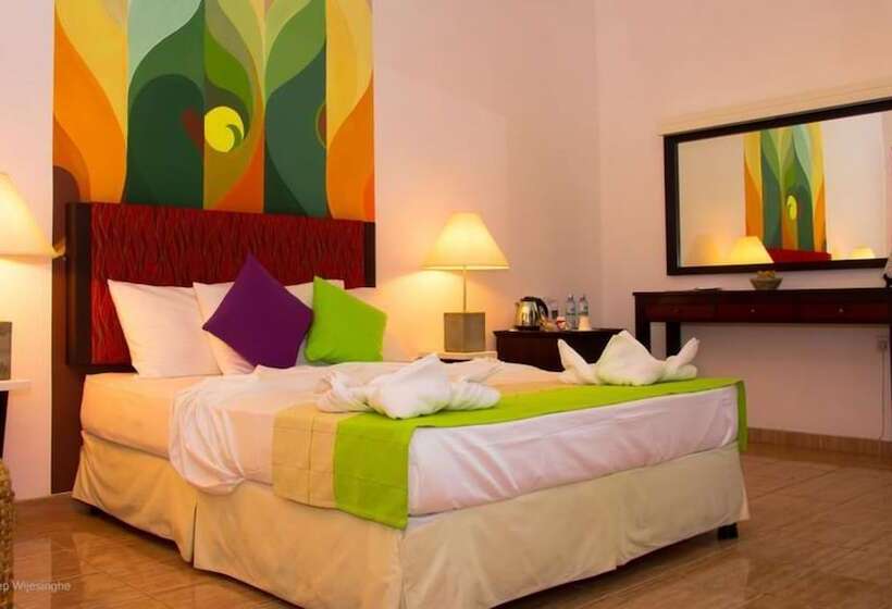 디럭스 룸, The Kent