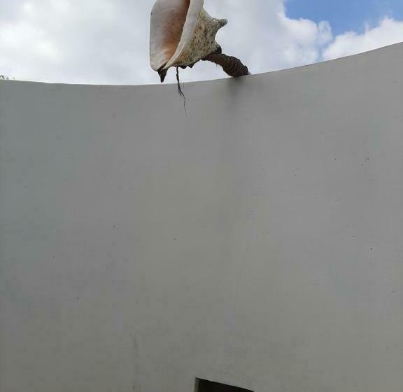 חדר סטנדרט, Omeesha Beach