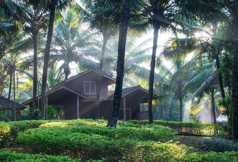 בקתת חדר, Shantai By The Lake