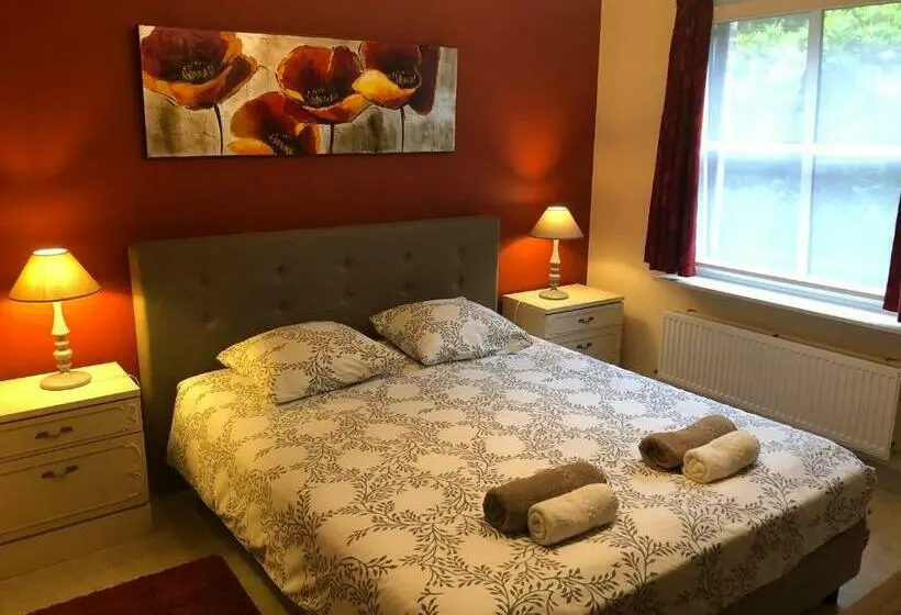 ベーシックルーム, B&b Latemberg