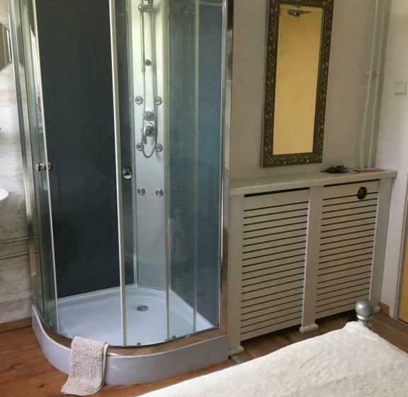 חדר סטנדרט חדר אמבטיה משותף, De Zilvermeeuw