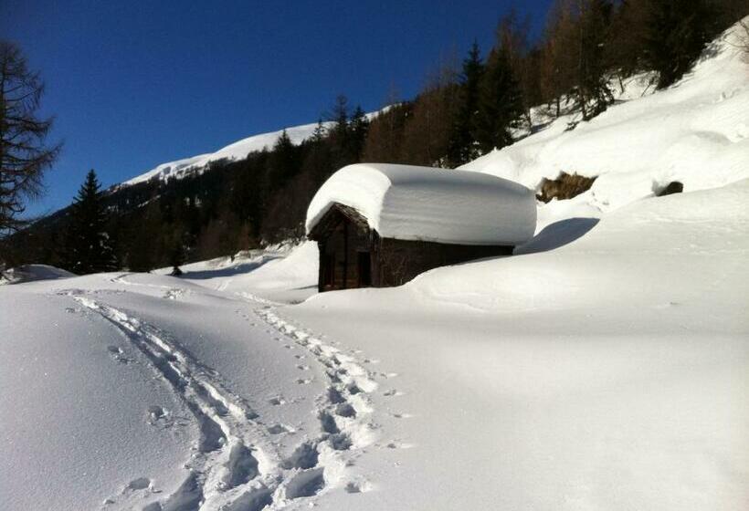 חדר סטנדרד יחיד חדר אמבטיה משותף, Restaurant Drei Tannen