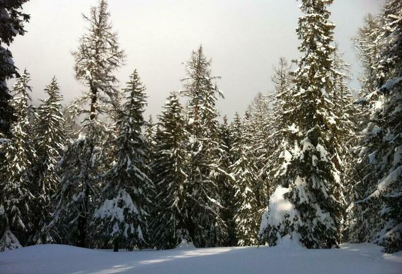 חדר סטנדרט חדר אמבטיה משותף, Restaurant Drei Tannen