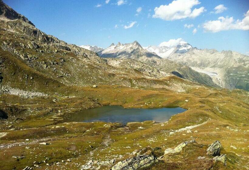 חדר סטנדרט חדר אמבטיה משותף, Restaurant Drei Tannen