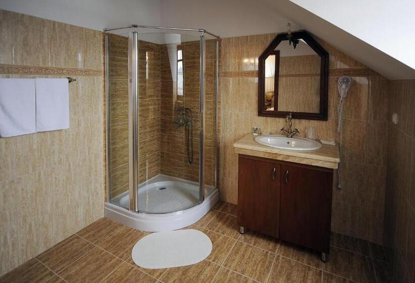 חדר סטנדרט יחיד, Castel Haller