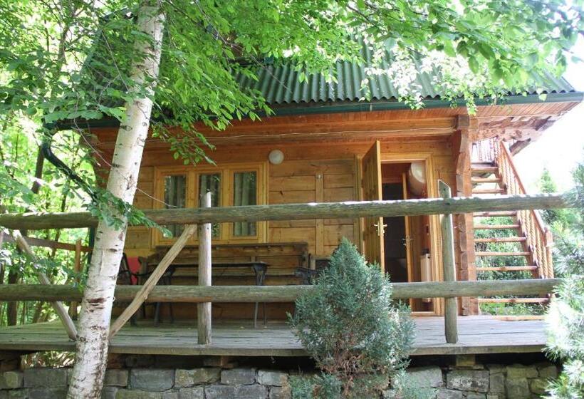 Трежместный Номер Economy, Sykytura