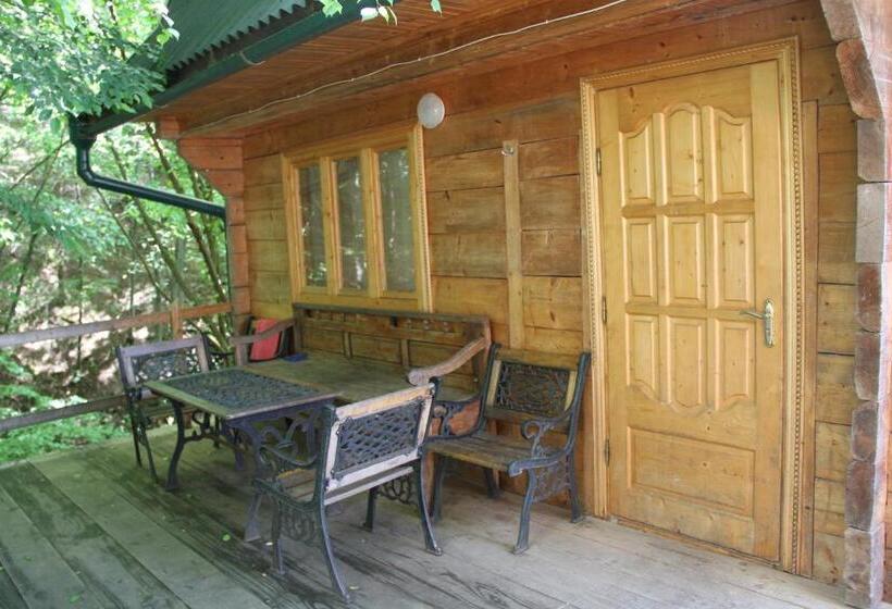 Трежместный Номер Economy, Sykytura