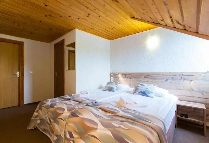 Camera Standard, Shepilska Relax Complex