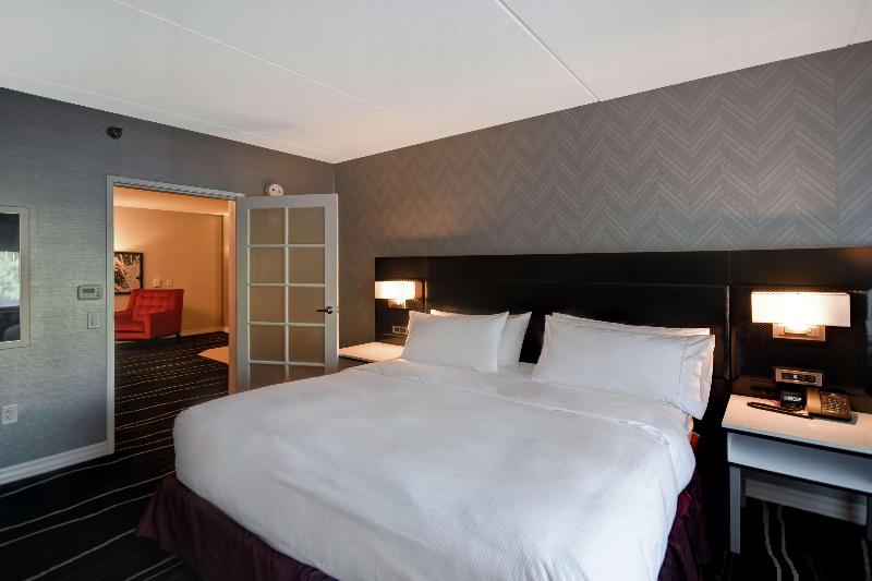 带大床的套房, Doubletree By Hilton Deadwood At Cadillac Jack's