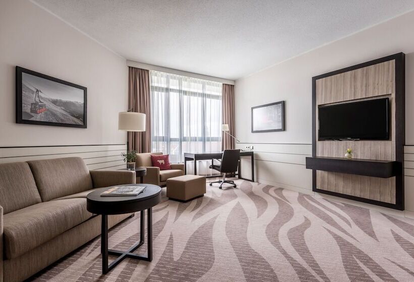 اتاق سوپریور, Munich Airport Marriott