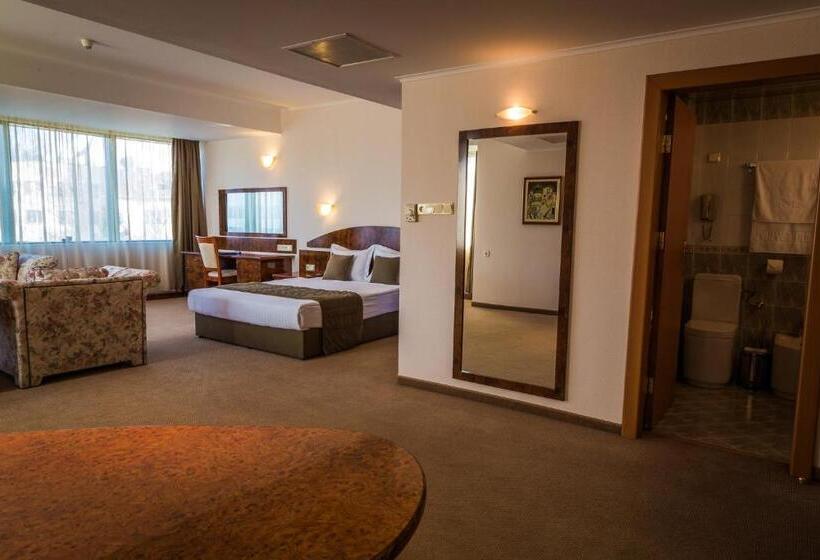 חדר דחוקס עם מיטת קינג, Sevlievo Plaza