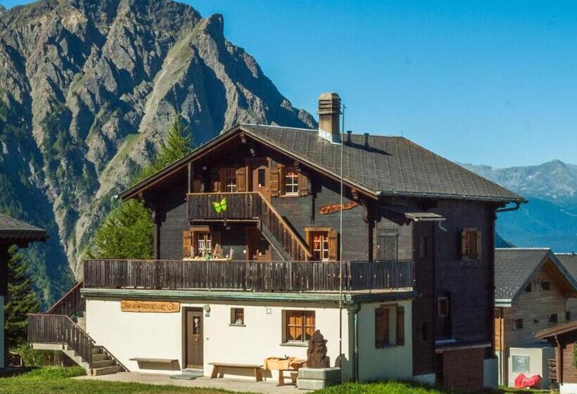إستديو عائلى, Gruppenhaus Im Walliser Alpstyle