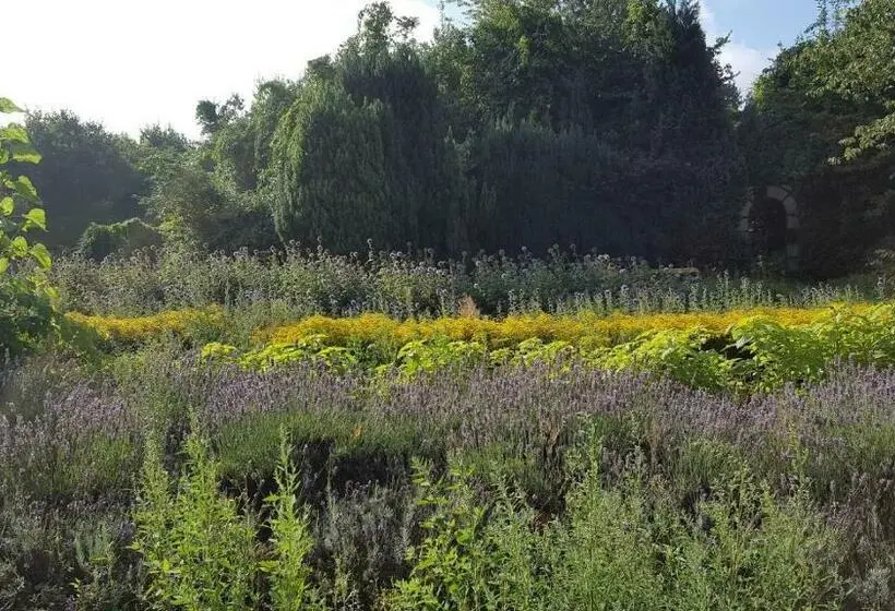 スタンダードルーム, Bloemenboerderij Aperloo