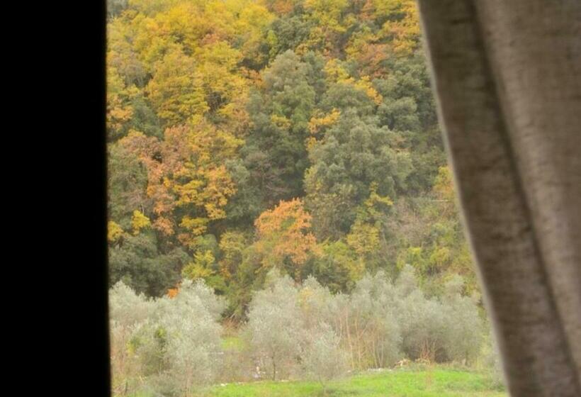 غرفة قياسية, Il Cappellaio Matto