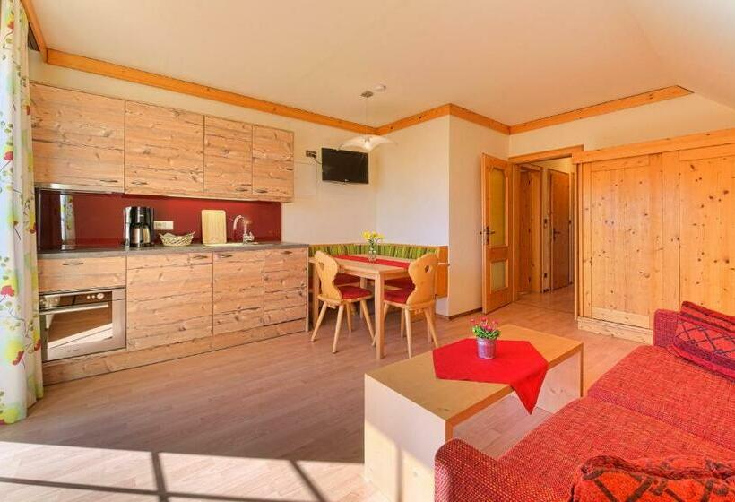 شقة ديلوكس غرفة واحدة, Allesbauer   Familie Preis