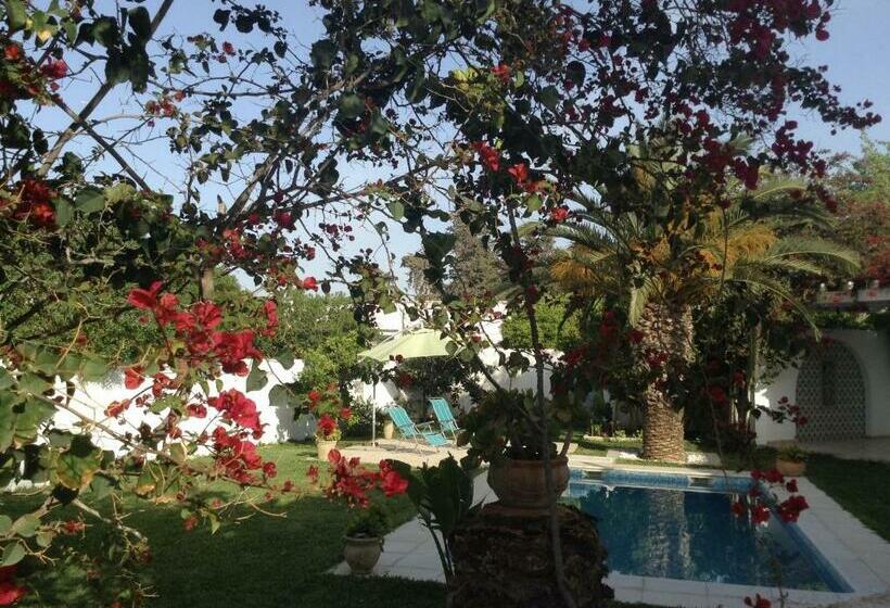 بنجلو قياسى مطلّ علي الحديقة, Carmella