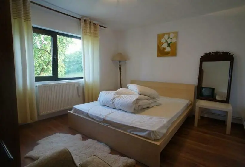 スタンダードルーム, Casa Paltinu