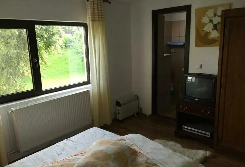スタンダードルーム, Casa Paltinu
