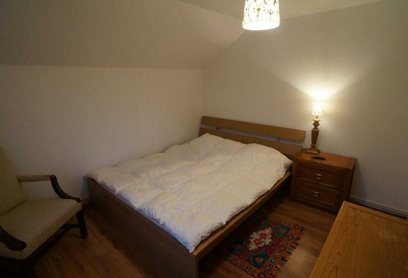 غرفة قياسية, Casa Paltinu