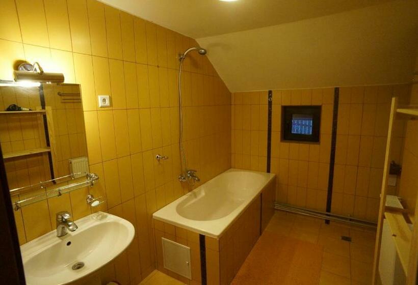 غرفة قياسية, Casa Paltinu