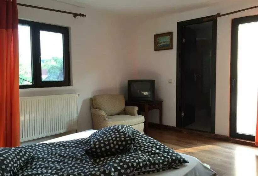 レイクビュースタンダードルーム, Casa Paltinu