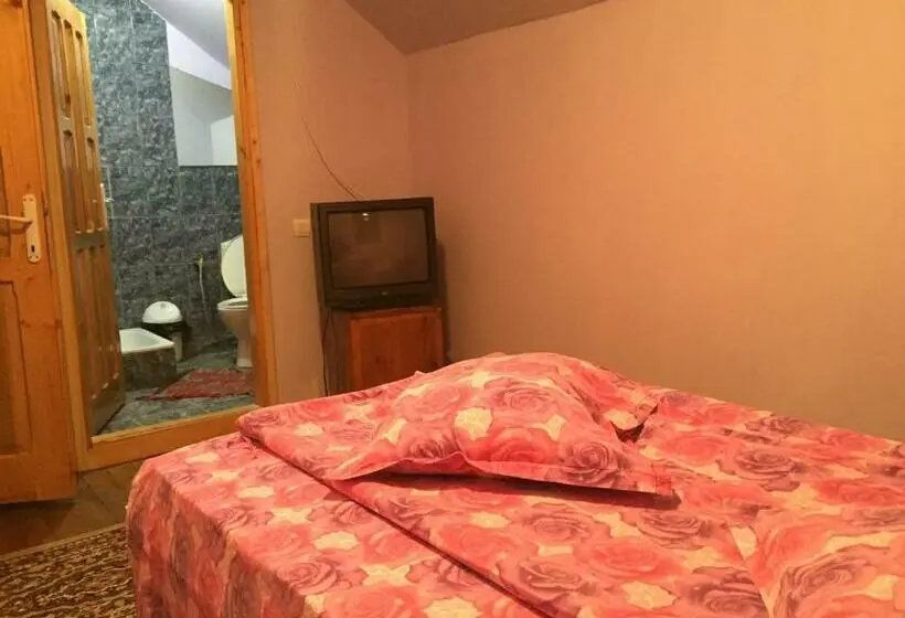 エコノミールーム, Casa Paltinu