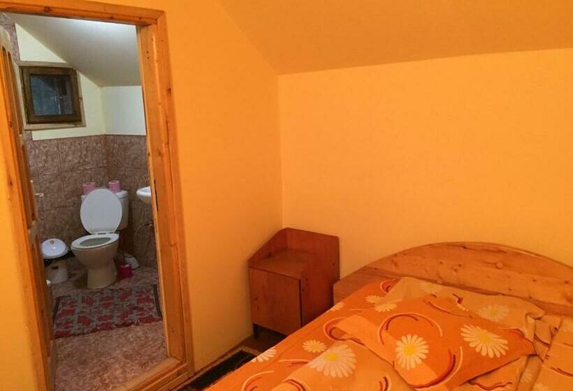 غرفة إقتصادية, Casa Paltinu