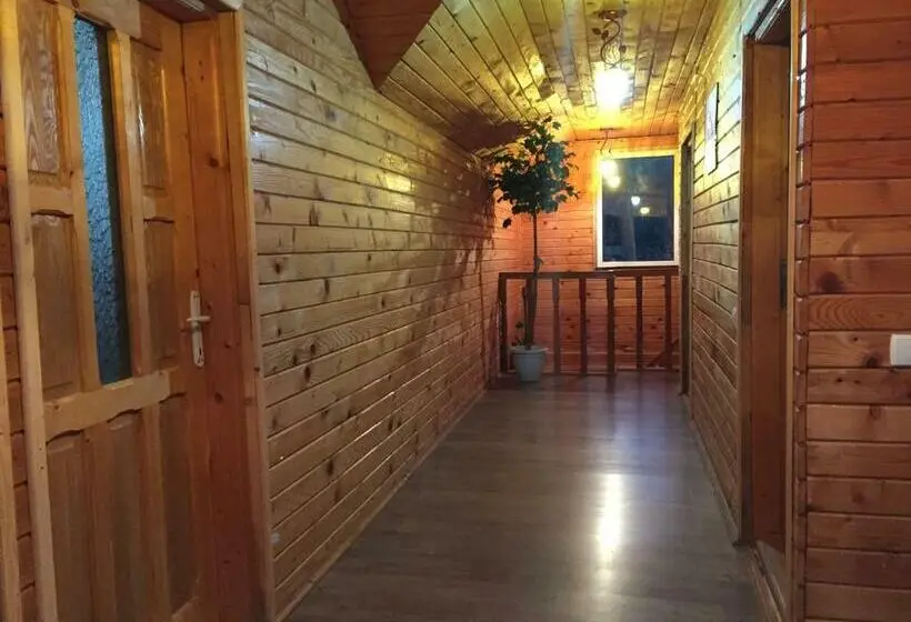 エコノミールーム, Casa Paltinu