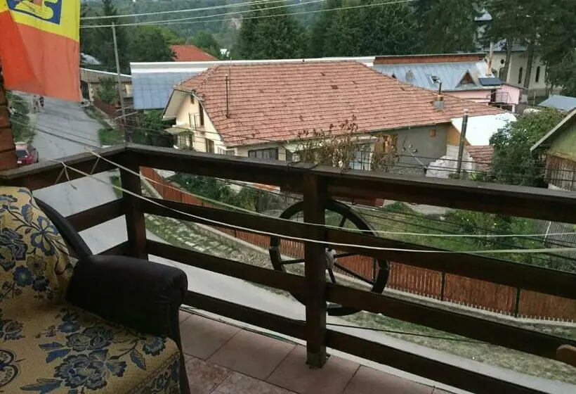 エコノミールーム, Casa Paltinu