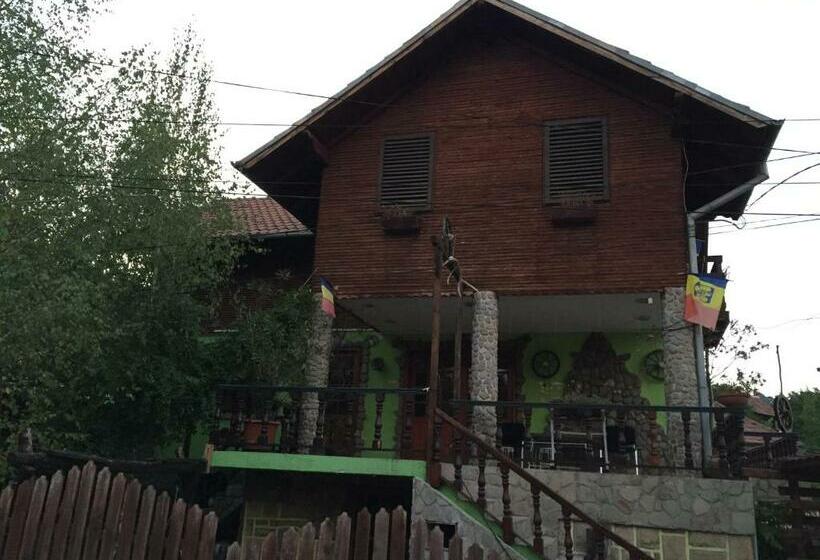 غرفة إقتصادية, Casa Paltinu