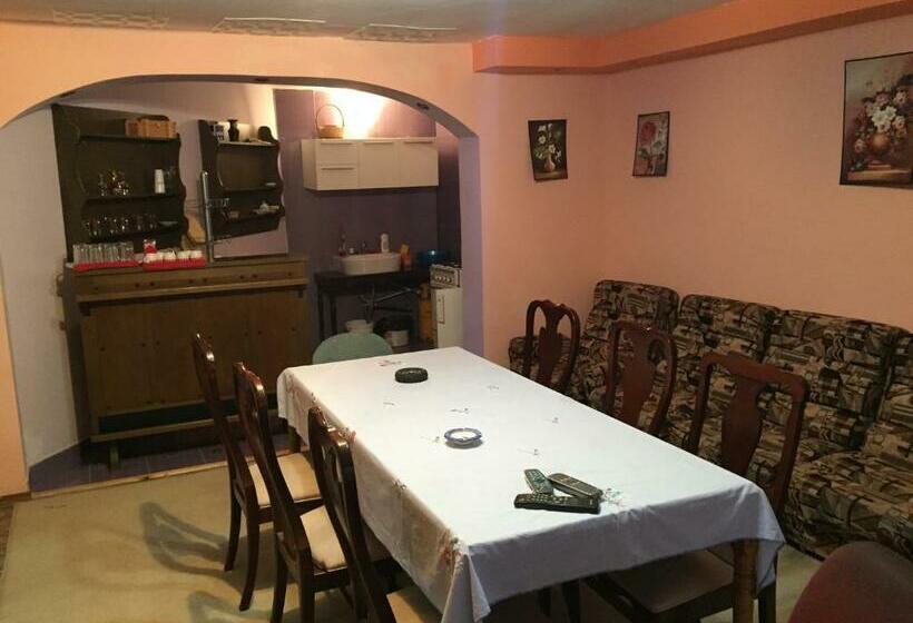 غرفة إقتصادية, Casa Paltinu