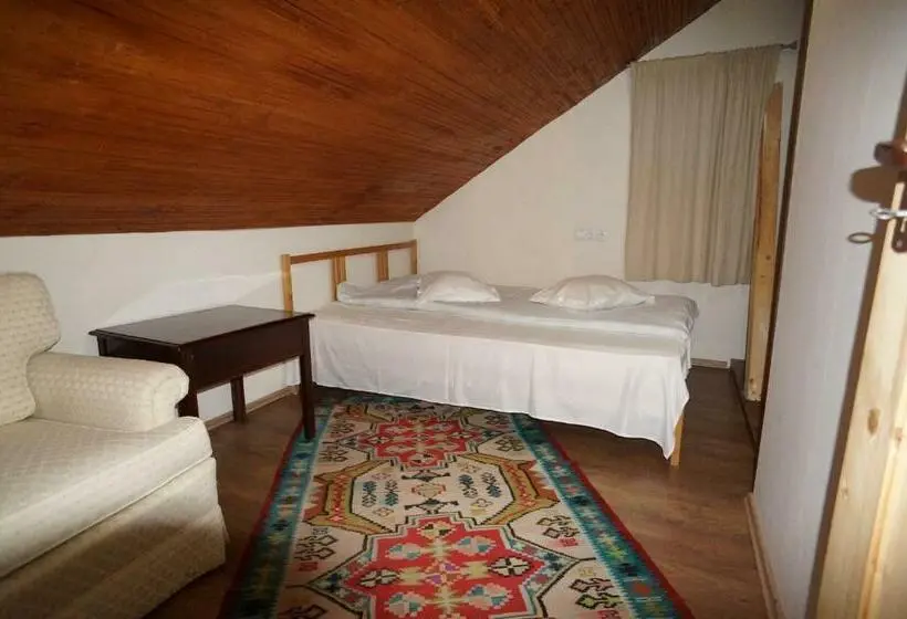ベーシックルーム, Casa Paltinu