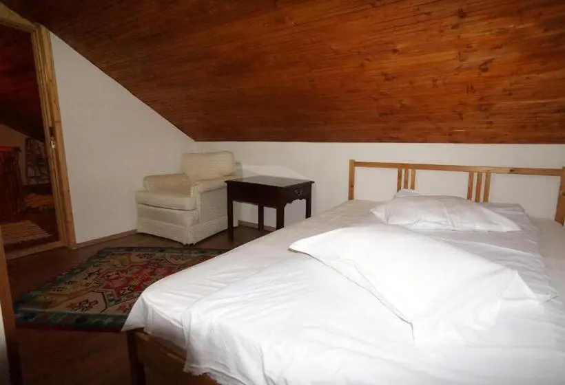 ベーシックルーム, Casa Paltinu