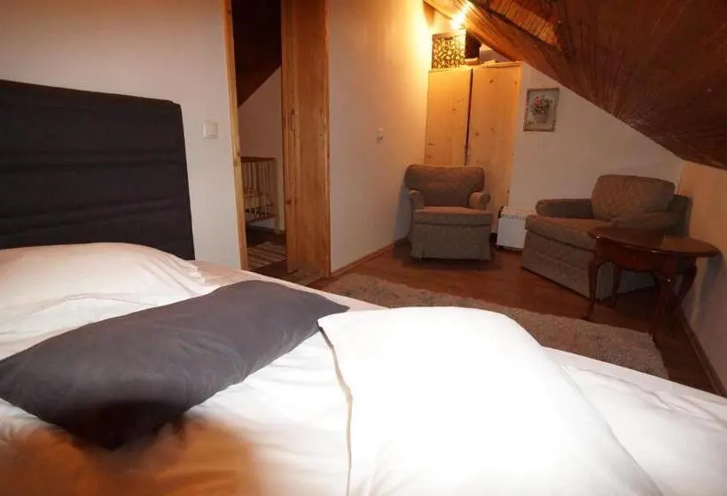 ベーシックルーム, Casa Paltinu